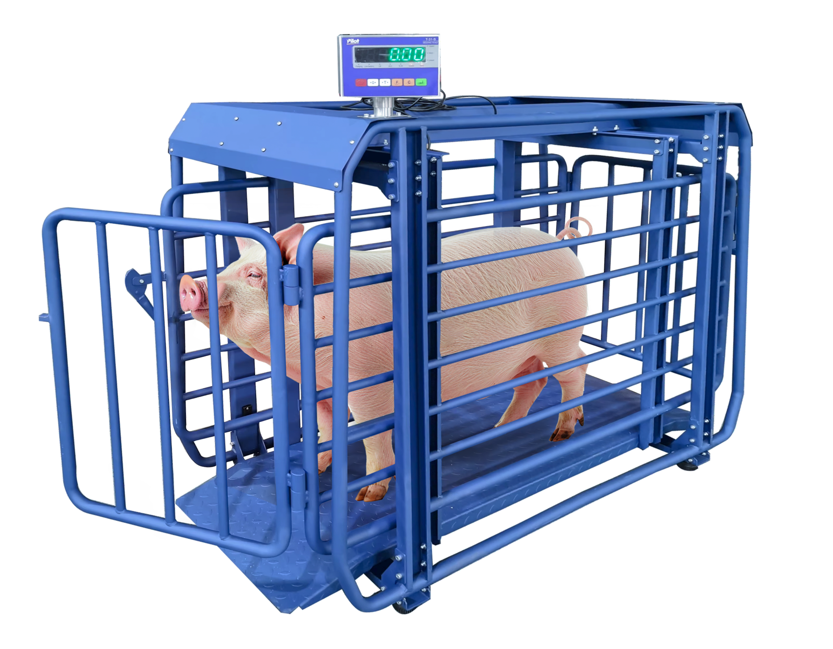 Large Platform Electronic Dog & Pet Scale (300kg / 500kg)