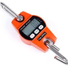 Top Crane Scale Brands for 2026: A Buyer’s Guide
