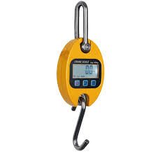 1000kg digital crane scale with stable time <10s delivery