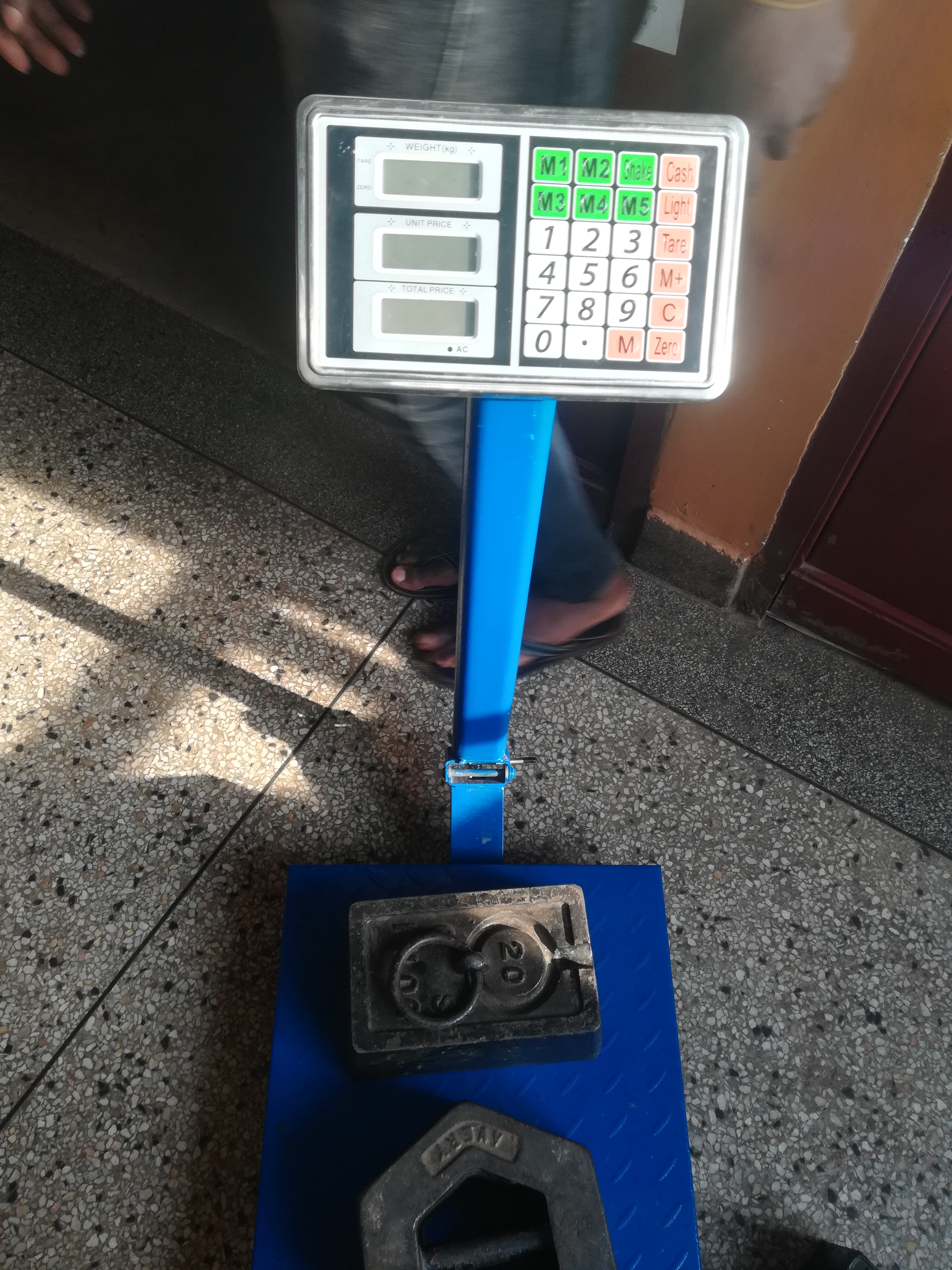 Platform Scale with Built-In Automatic Bi-Volt Charger