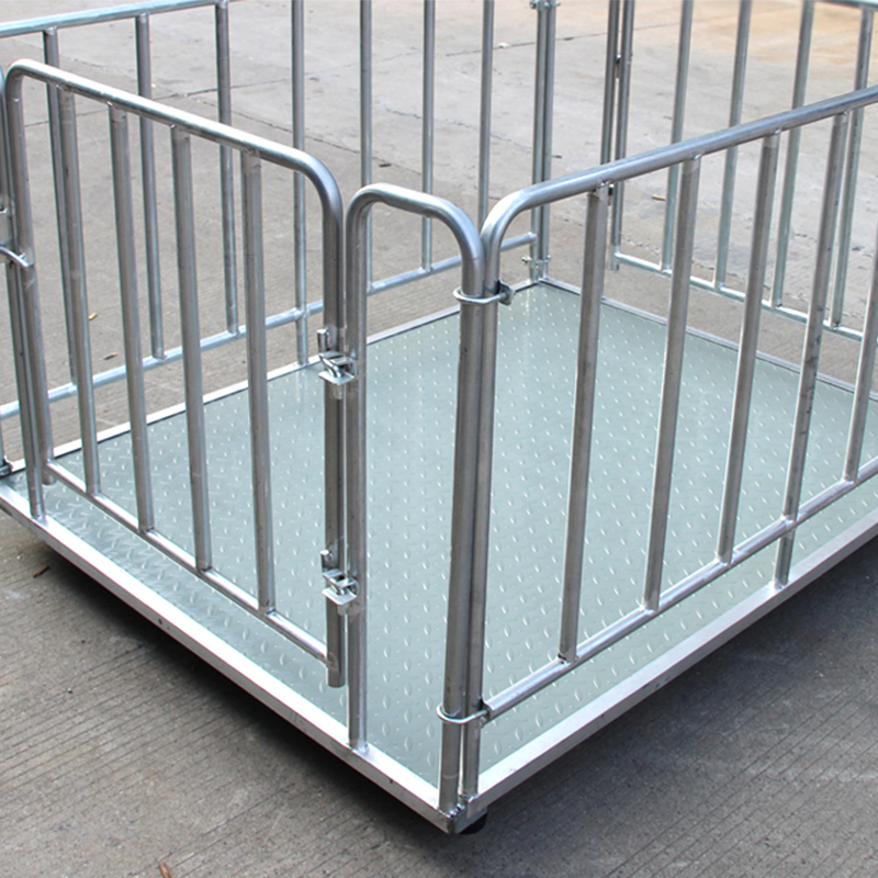 Livestock Scale Installation Service in Sironko-district - view 2