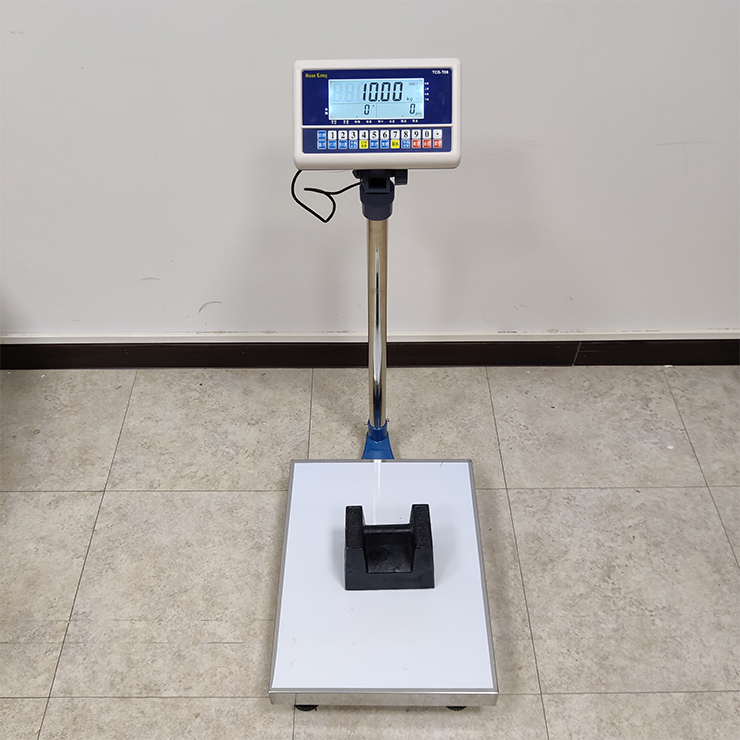 Warehouse Platform Scale - Platform weighing scale available in Kampala, Uganda