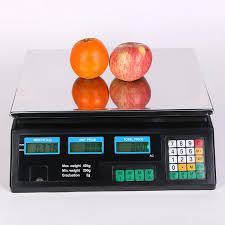 Portable Price Computing Scales – Lightweight, Rechargeable, and Perfect for Mobile Selling - Price-Computing-Scales weighing scale available in Kampala, Uganda